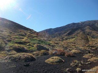 rrente Quarantore-01-11-2012 11-02-13